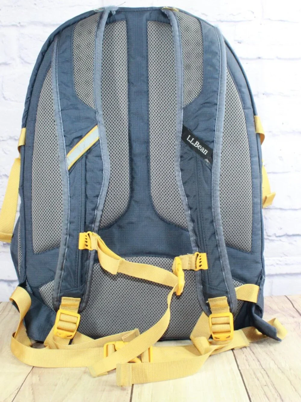 READ–LL Bean Unisex Adult Comfort Carry Portable Locker Pack 42L Backpack Hiking